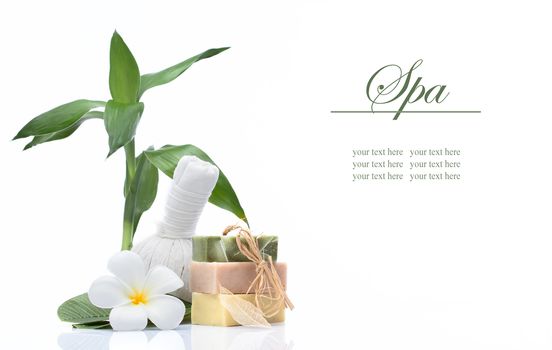 view of spa theme objects on white background. banner. lots of copy space.