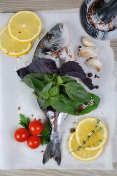 Fresh sea bream (Dorado) on paper with spices and herbs