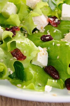 Salad of lettuce with dried cranberries, feta, sesame and chicken breast