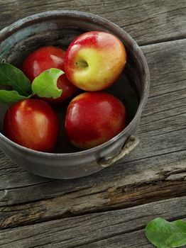 close up view of nice fresh apples on color background