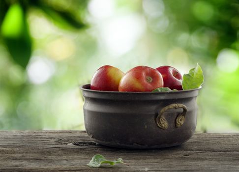 close up view of nice fresh apples on color background