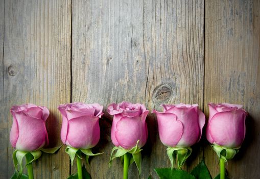 Pink roses on a wooden background wtih copyspace 