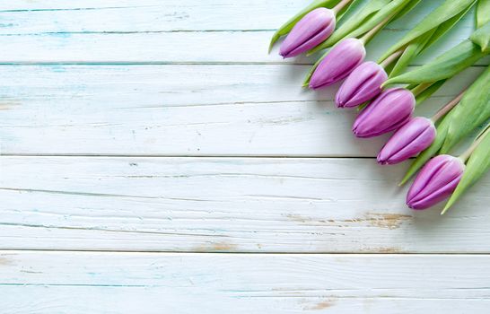 Tulips on a wooden background with space