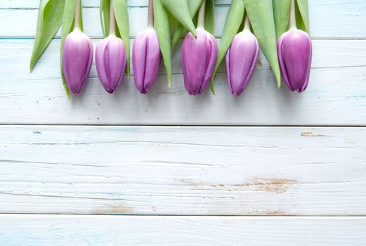 Lilac tulips on a wooden background with space 