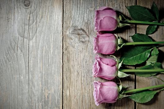 Pink  flowers on a wooden background wtih copyspace