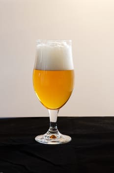 one glass of coold and lovely beer ready to drink