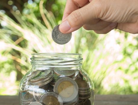 Hand to drop coin into piggy bank on nature background, savings concept,investment concept,business concept.