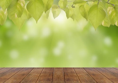 Abstract of bokeh and natural light of the summer season.