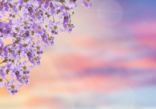 Abstract bokeh nature background.