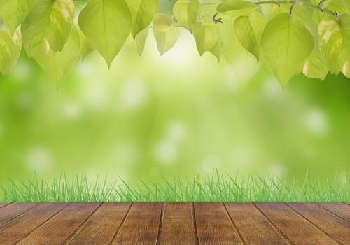 Abstract bokeh nature background.