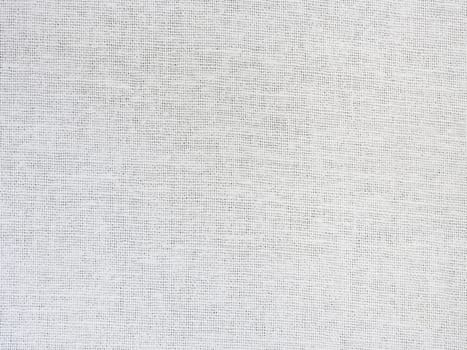 White cotton cloth to use as a background.