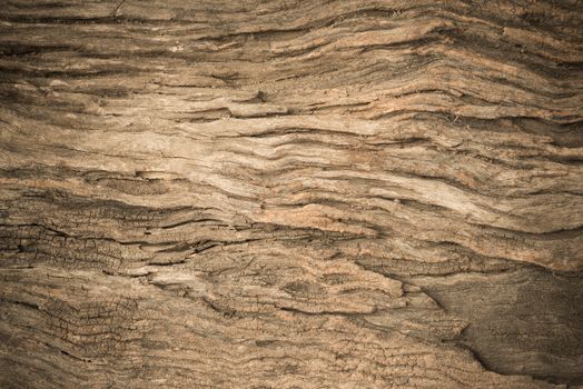 Wood texture suitable for background.