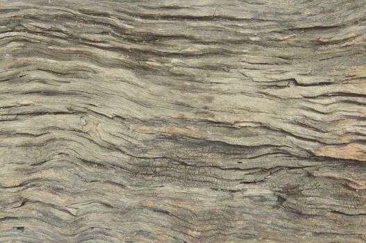 Wood texture suitable for background.