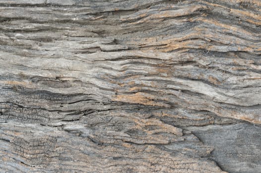 Wood texture suitable for background.