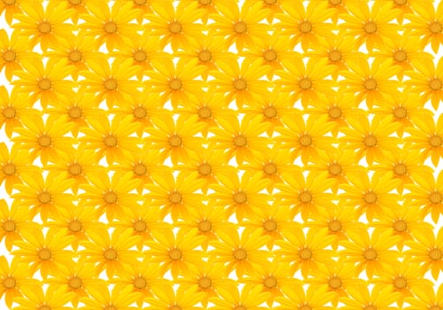 Small yellow flowers on a white background.