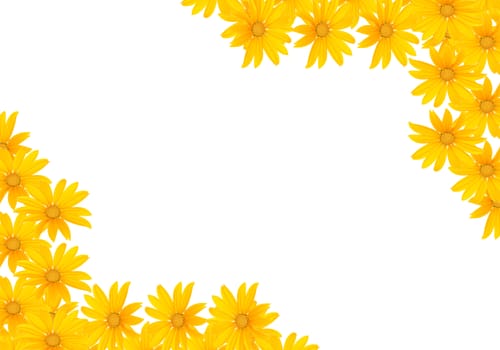 Small yellow flowers on a white background.