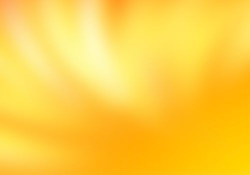 Abstract yellow bokeh and blur nature background.
