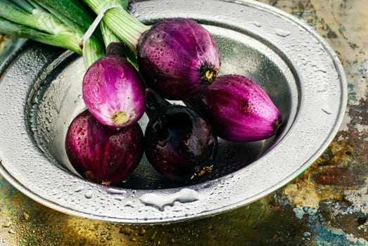 Bunch of onions from the summer harvest on an iron plate