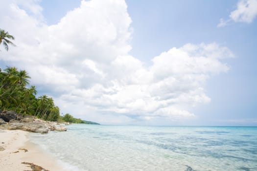 View of nice tropical empty sandy beach with some palm