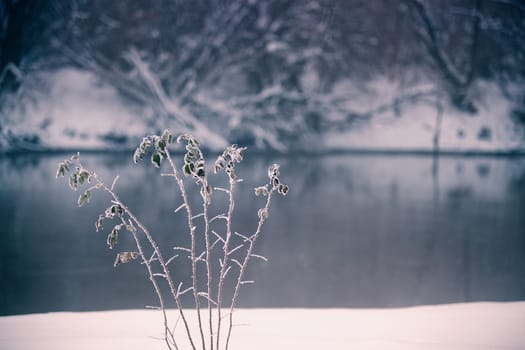 Snow and winter. Belarus village, countryside in winter