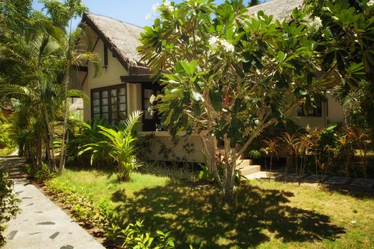 view of nice cozy  exotic hut in tropical environment