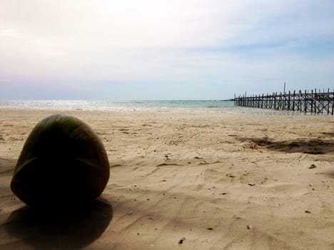 coconut on sunny day sand, focusing the beach
