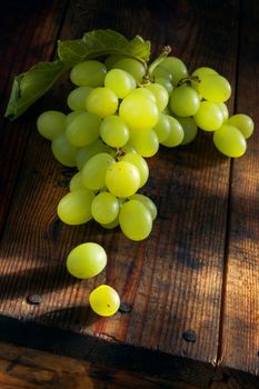 close up view of fresh grape  on color back