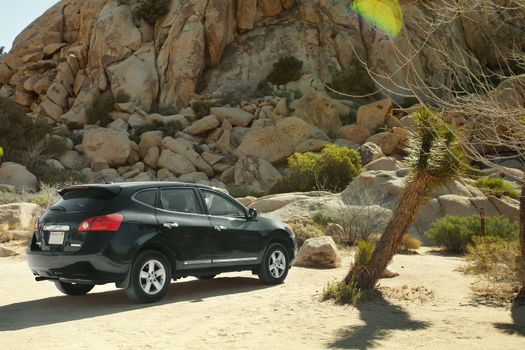 view of black crossover in joshua tree park environment