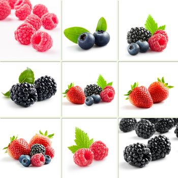 berry theme  mix composed of different images