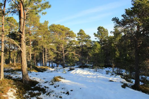 Nature, Nature, Mountains, Landscapes