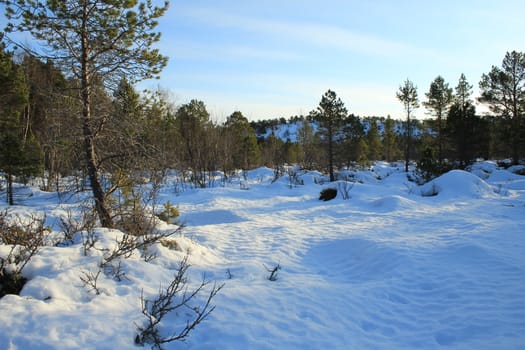 Nature, Nature, Mountains, Landscapes