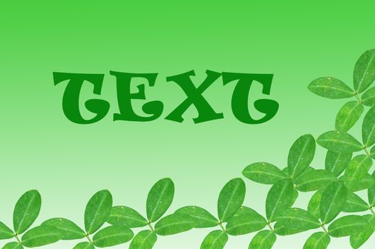 green leaves on white background with text