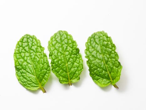 close up fresh mint leaves on white background
