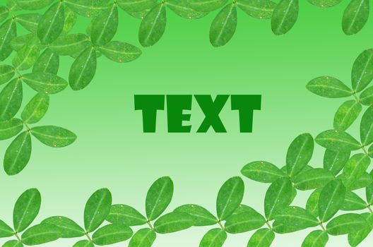 green leaves on white background with text