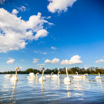 blue sky, natural clouds, nature series