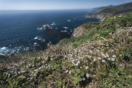 Beach at Big Sur in Southern California, USA