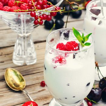 Dairy ice cream varieties decorated with raspberries and currants