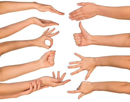 Set of hands isolated on white background