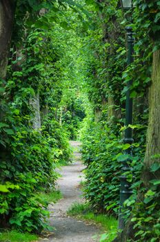 Green tunnel, Footpath Barbarossa Wall Dusseldorf Kaiserswerth.