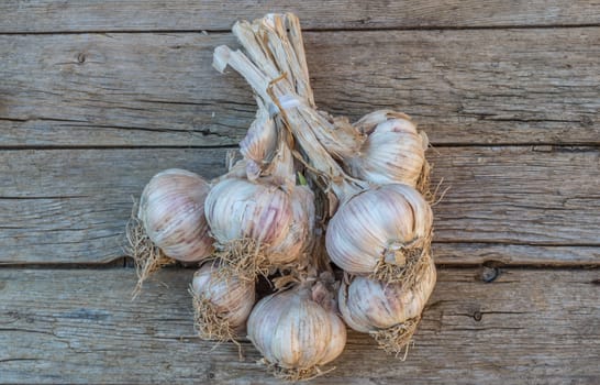 Bunch of garlic on a wooden background