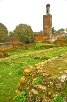 chellah  in morocco africa the old roman deteriorated monument and site
