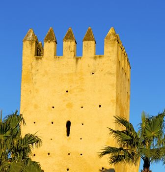 old ruin in  brown construction  africa    morocco and sky  near the tower