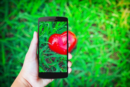 Modern mobile phone in the hand,on blur background image 