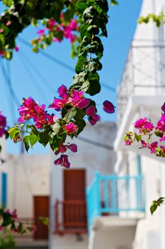   isle of       greece antorini europe old house and white color