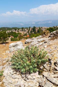     the    hill in asia turkey selge old architecture ruins and nature 