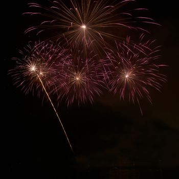 Fireworks, salute on the black sky background