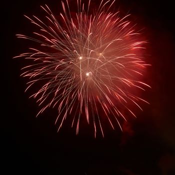 Fireworks, salute on the black sky background