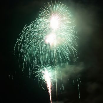 Fireworks, salute on the black sky background