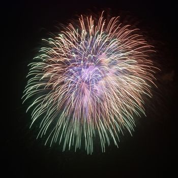 Beautiful fireworks on the black sky background