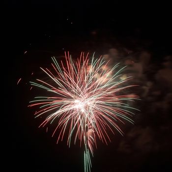 Beautiful fireworks on the black sky background